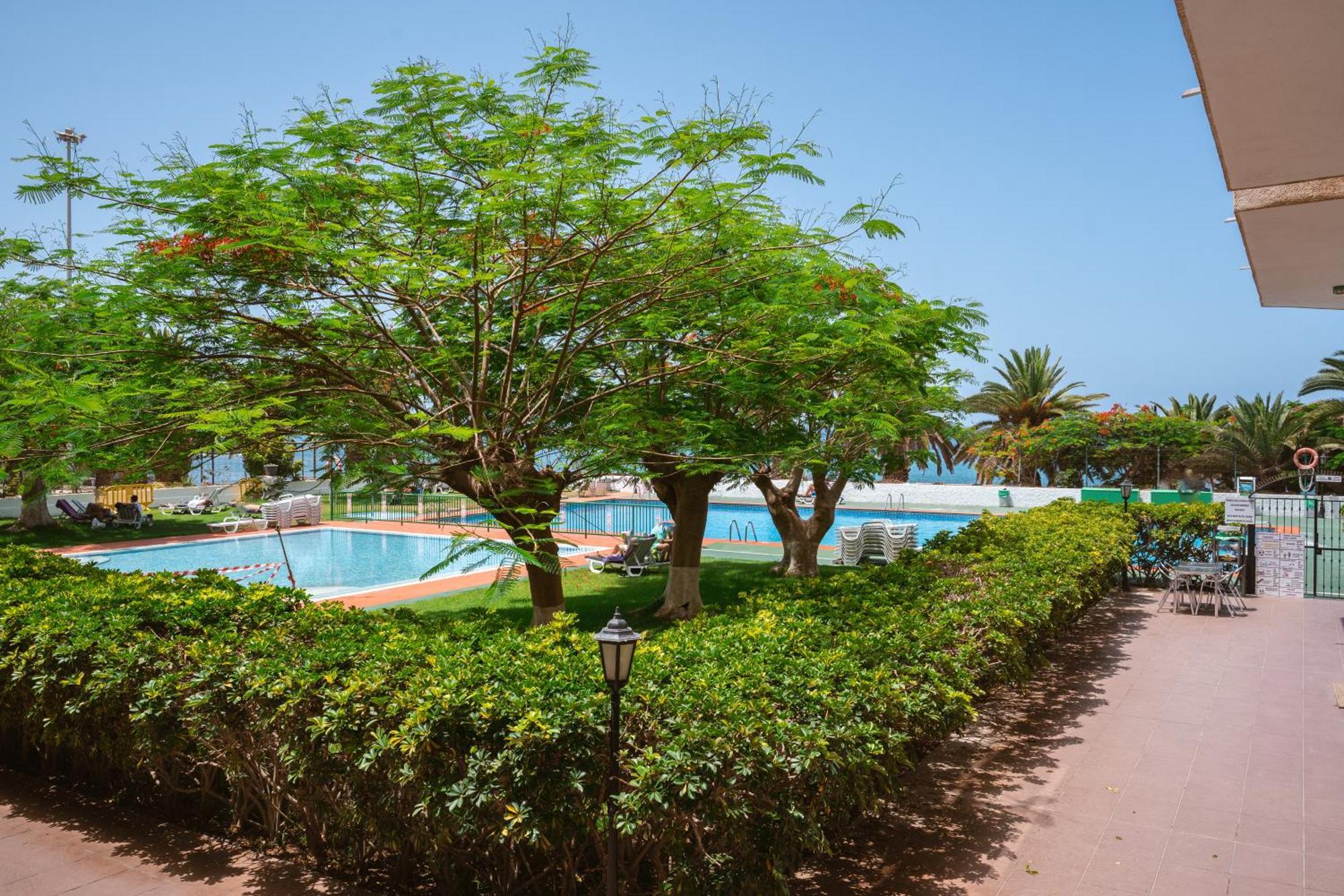 Go2Tenerife Apart'Dida Pool & First Line Of The Sea Los Cristianos  Esterno foto